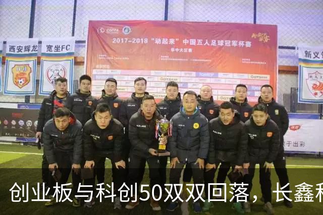 创业板与科创50双双回落，长鑫科技低开引发恐慌但反弹在望