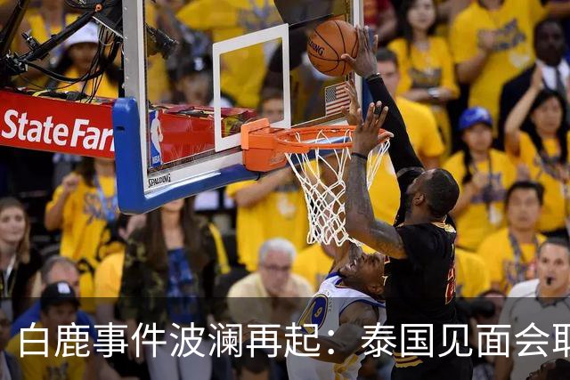 白鹿事件波澜再起：泰国见面会取消，缅北视频再被热议